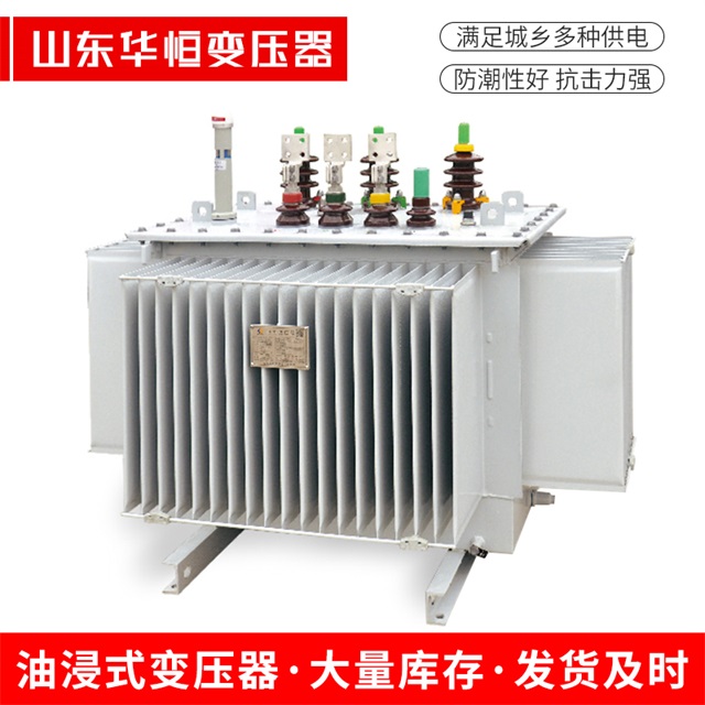 S13-10000/35上海上海上海电力变压器